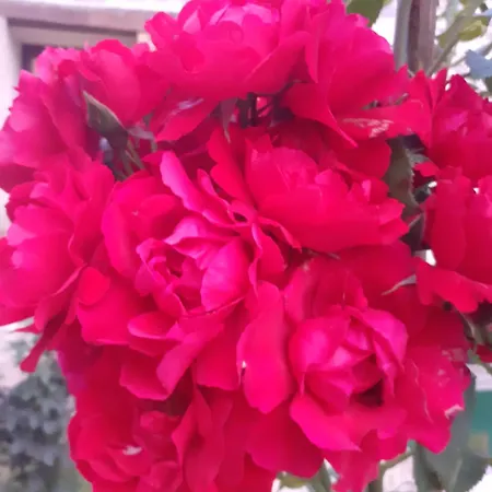 Сasa de vacaciones Pres De Giverny