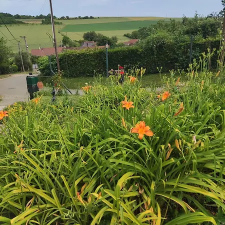 Pres De Giverny *