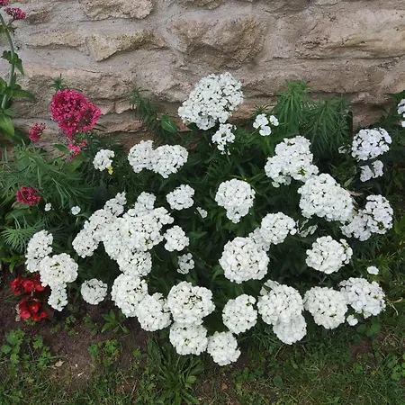 Pres De Giverny Сasa de vacaciones Gasny